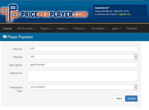 Introduction to the Player Payment Page