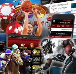 The Best in Online Gambling Products