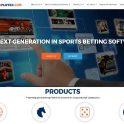 PricePerPlayer.com Rebrands itself with a New Website and Logo