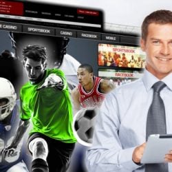 Guide to the Best Software for Opening an Online Sportsbook