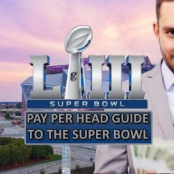 Watch your Super Bowl Odds