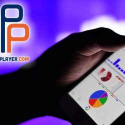 Using a Pay Per Head Sportsbook Software to Increase your Revenue