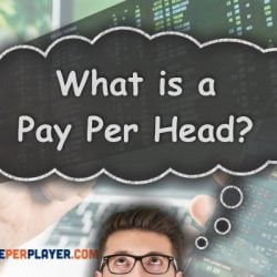 Pay Per Head for Beginners: Pay Per Head 101