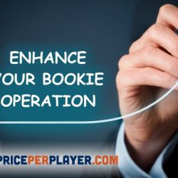 Enhance Your Bookie Operation with a PPH Sportsbook Software