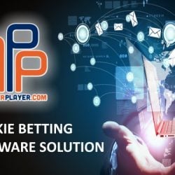 PricePerPlayer.com is the Ultimate Bookie Betting Software Solution